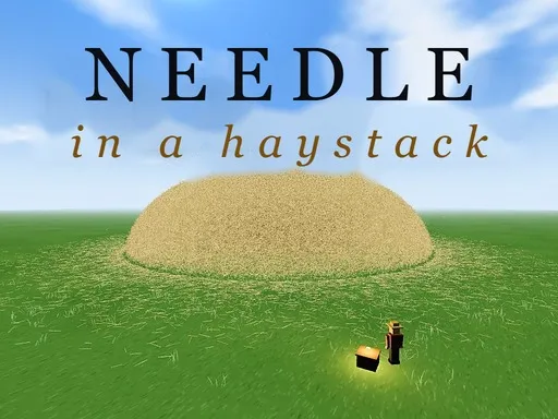 Needle in a Haystack Cover